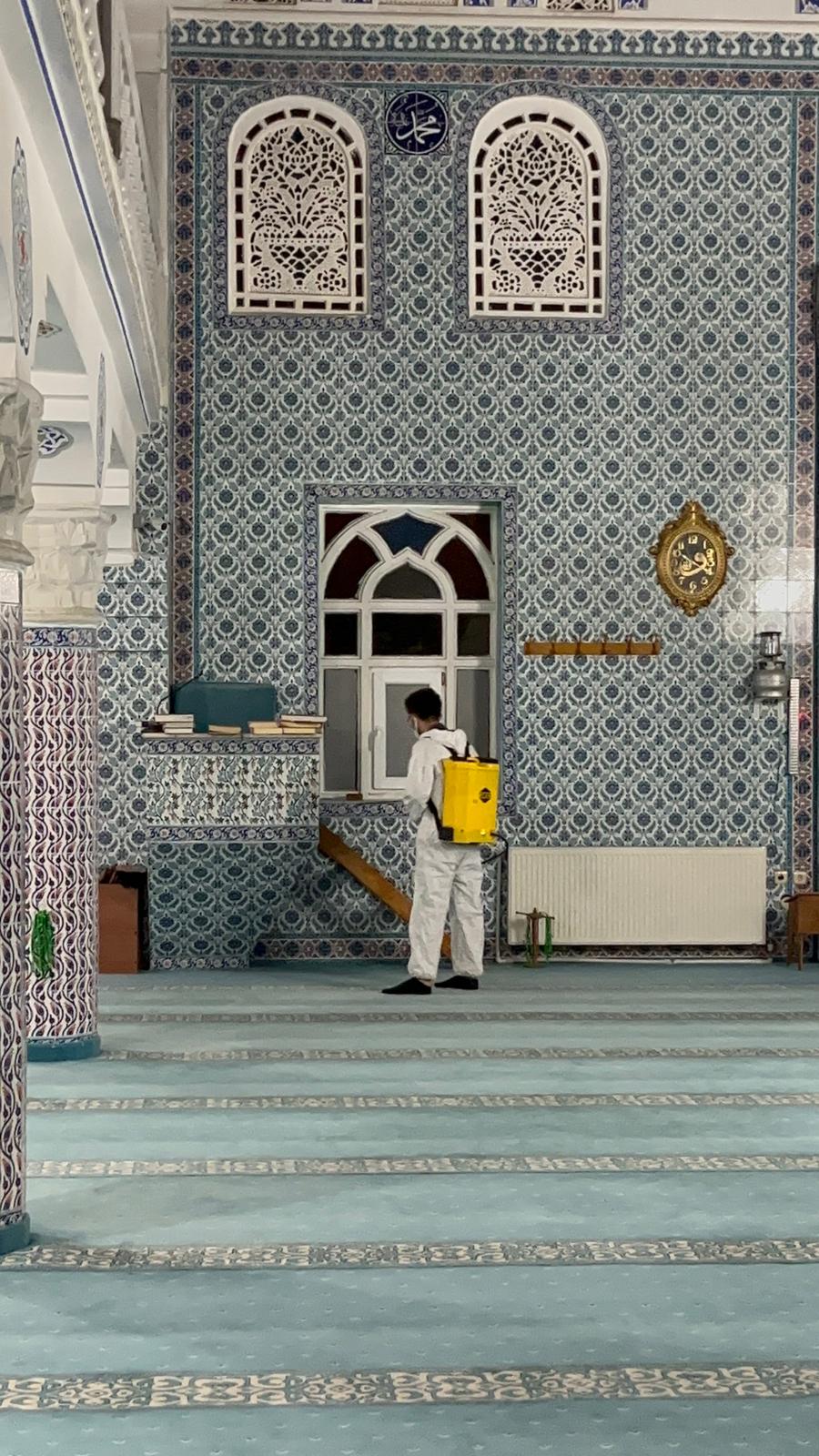 Balkan Haşere İlaçlama